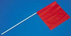 SKI FLAG